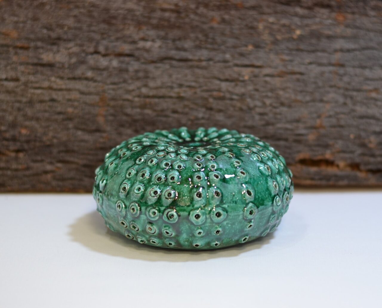 Riccio di mare in ceramica color verde acqua _ La Fenice